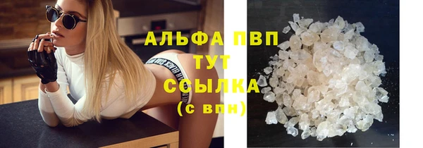 прущие грибы Аркадак