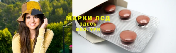 прущие грибы Аркадак